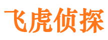 奎文市侦探公司